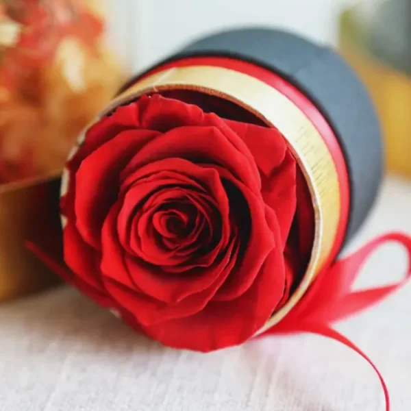 Eternal Rose Box ( Dozen ) V3